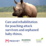 Medivet Rhino: Care and rehabilitation for poaching attack survivors and orphaned baby rhinos