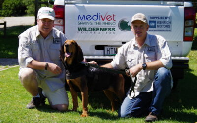 Your pennies have meant that Bloodhound Doberman cross, Ella, has had a successful year protecting the rhinos