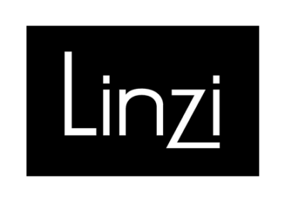 Linzi Shoes logo