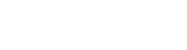 Verifone logo white